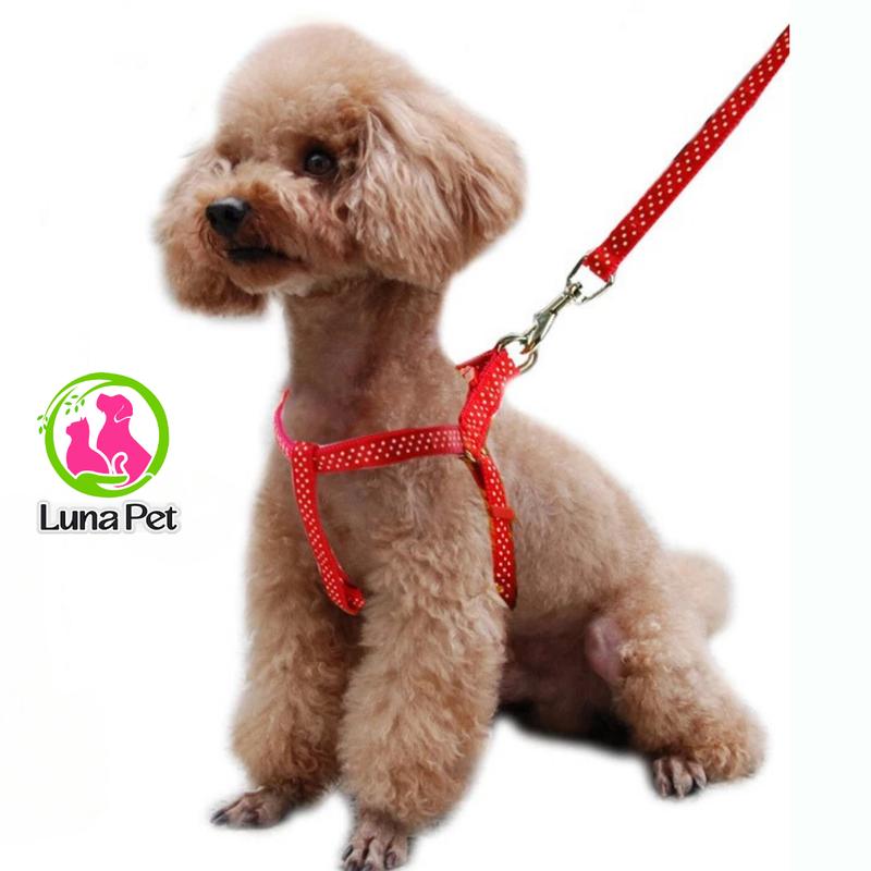 Dây dắt cho thú cưng dây dắt nhiều màu sắc cho chó mèo