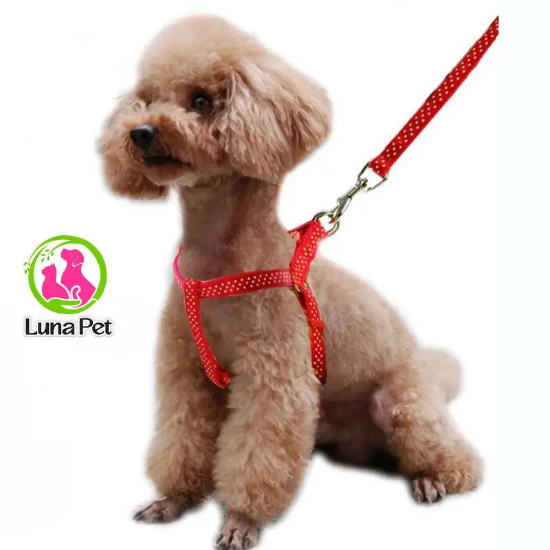 Dây dắt cho thú cưng, dây dắt nhiều màu sắc cho chó mèo