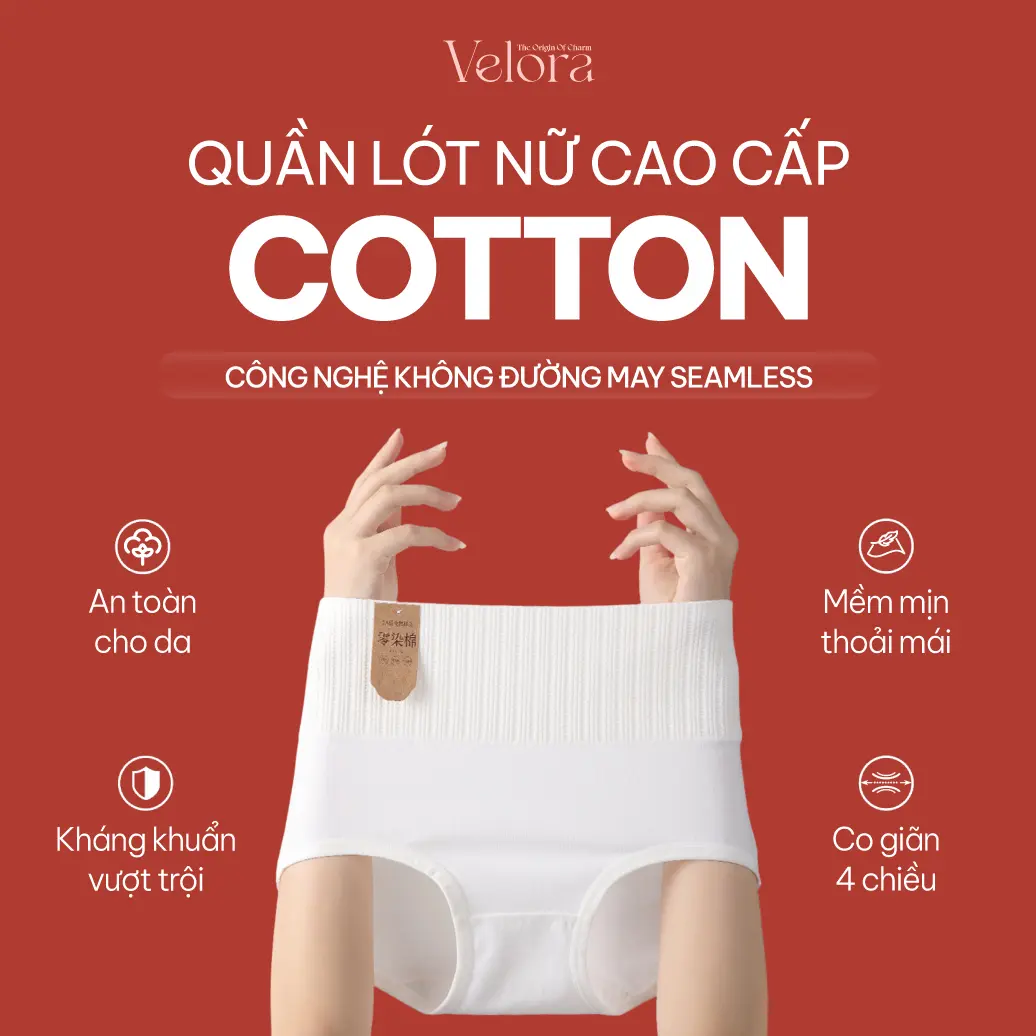 [Combo 5] Quần Lót Cotton Trắng Cao Cấp Nữ Kháng Khuẩn, Mềm Mịn, An Toàn Cho Da - VELORA Women