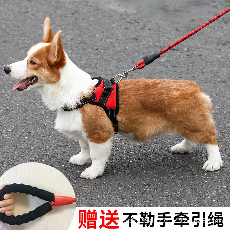 Dây Xích Cầm Tay Cho Chó, Dây Đai Nịt Thú Cưng, Thiết Kế Xương, Đeo Ngực Và Lưng, Thích Hợp Cho Chó Nhỏ, Trung Bình Và Lớn, Đồ Dùng Thú Cưng, Đồ Chơi Cho Chó