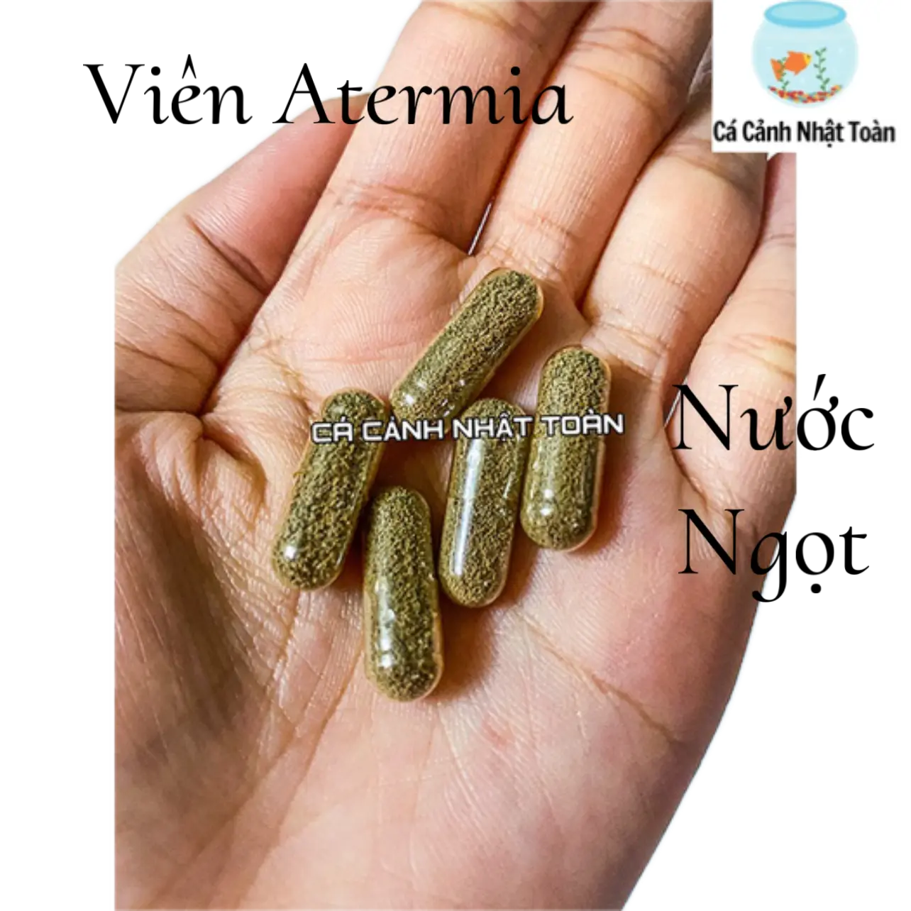 Viên Atermia Nước Ngọt Thức Ăn Cho Cá Cảnh