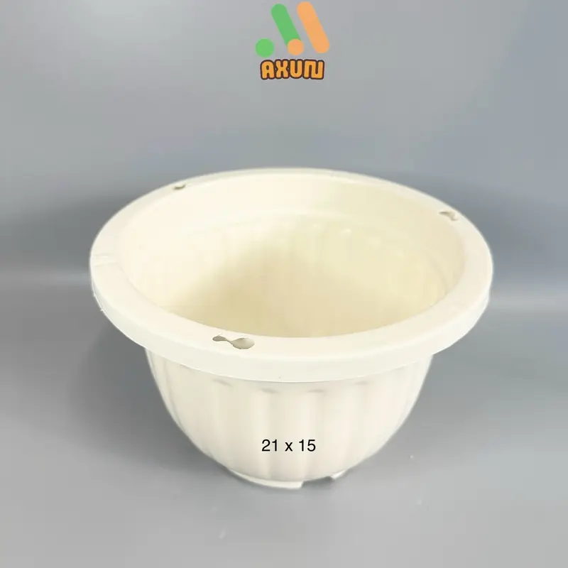 Chậu nhựa cứng tròn trắng mini trồng sen đá và xương rồng 1