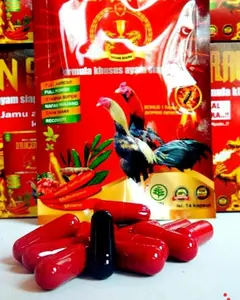 Jamu Ayam DRAGON SN Sasana Ngapak Bonus Kapsul Doping Dewa obat