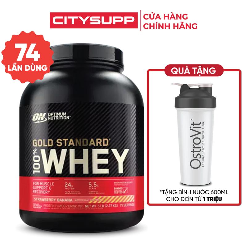  Optimum Nutrition Gold Standard 100% Whey Protein  907G 2.27KG  Bổ Sung Protein và BCAA | CitySupp 