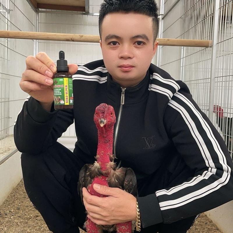 Dạng Uống Phục Hồi Sau Đá SEKO dùng cho gà chọi uống phục hồi tốt và hiệu quả