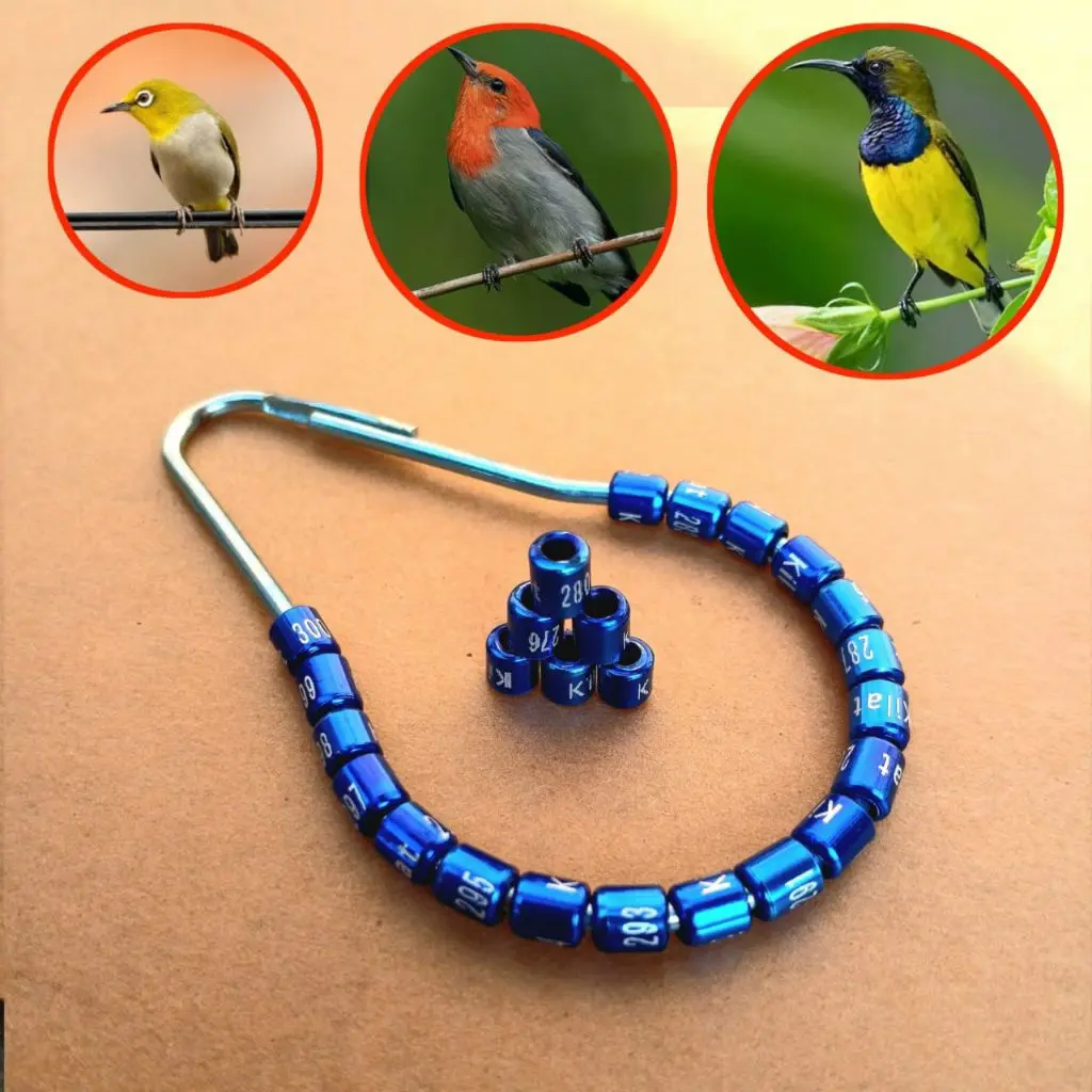 RING SOGON, KOLIBRI, PLECI SUDAH TERCETAK NAMA ( WARNA CAMPUR )