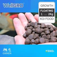 Gambar WellGrow pelet Pakan Ikan Koi Well grow size L kemasan 2kg dari Mayjen Kota Tangerang 4 Tokopedia