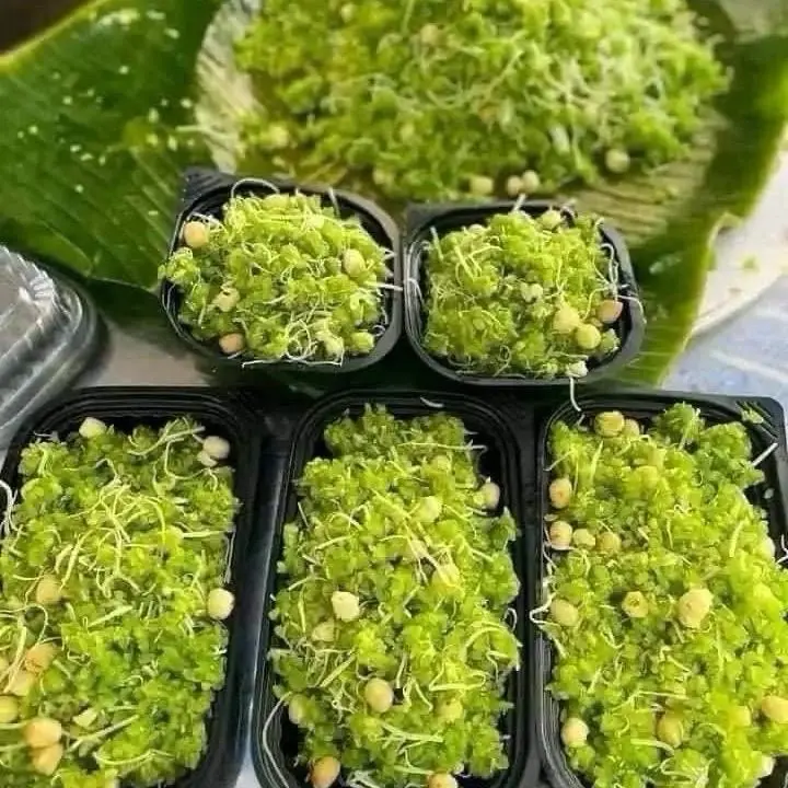 1kg cốm khô non,dẻo  Thức Ăn