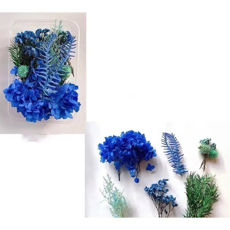 Hoa khô nhiều mẫu mới về dùng làm handmade, khung tranh, nến, sáp thơm, resin, trang trí. Kawaii - Thế giới hoa khô 0