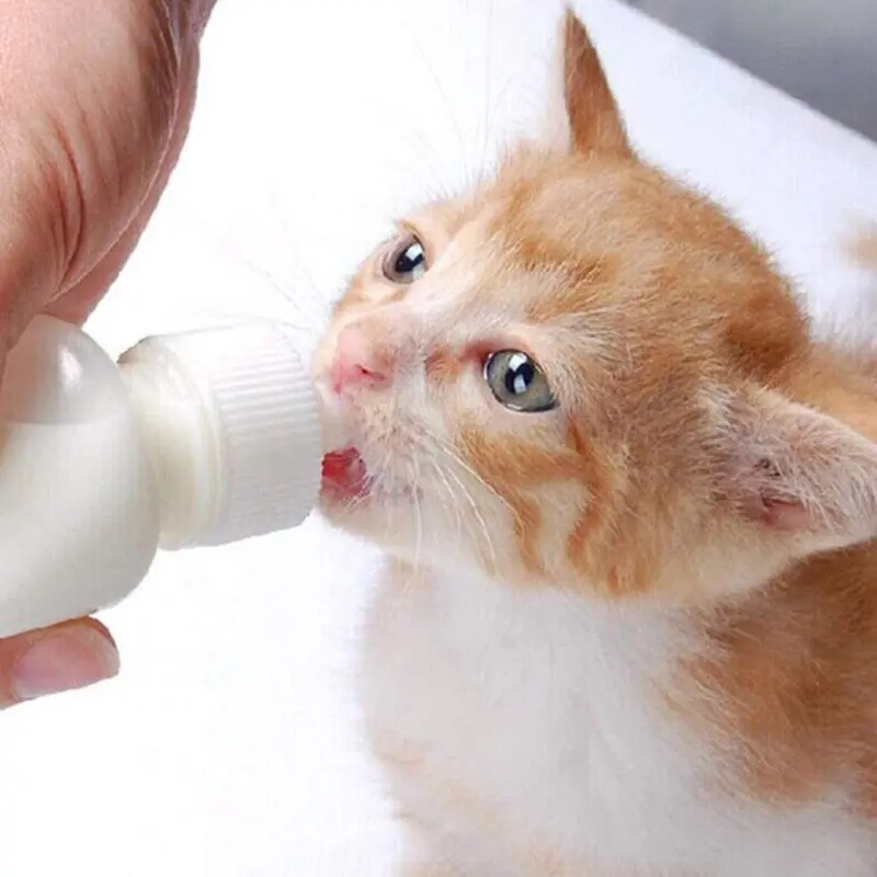 Máy Cho Thú Cưng Cho Sữa Cho Thú Cưng, Bình Cho Thú Cưng 60ml, Núm Vú Mềm, Bình Cho Thú Cưng Cho Ăn, Với Cân, Bộ Dụng Cụ Cho Thú Cưng, Tương Thích Với J7N4 3