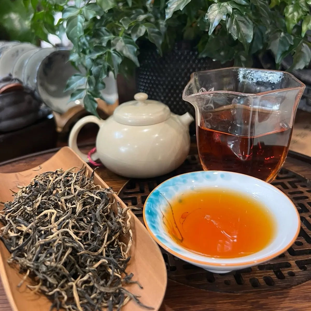 Hồng Trà Shan Tuyết Cổ Thụ 100g