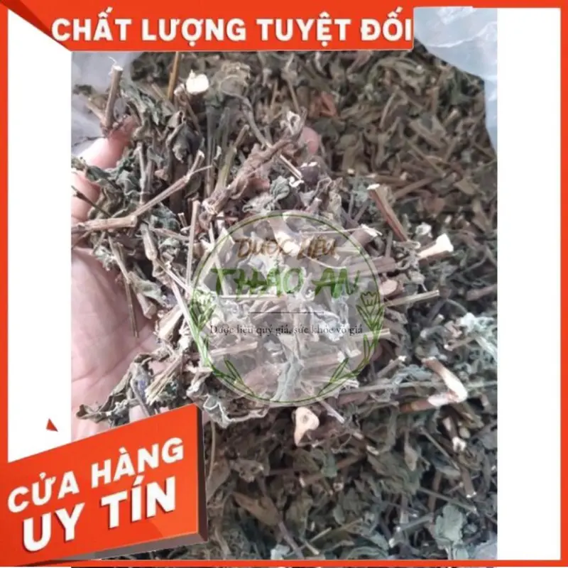 1 kg cây CỎ XƯỚC khô (mới, đẹp, loại 1) - cơ sở dượċ liệu Thảo An 5