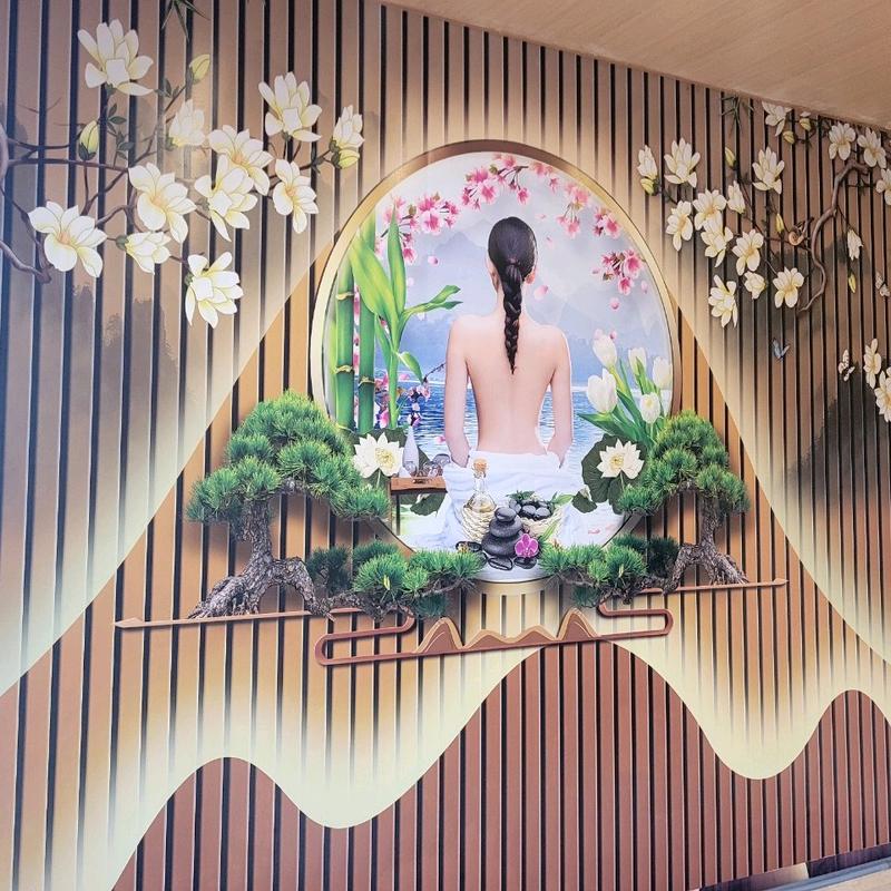 Tranh lụa 3D trang trí quán spa,thẩm mỹ,dưỡng sinh,làm đẹp.nhận đặt hàng kích thước theo yêu cầu. Tặng keo dán,chống nước Treo Tường Treo Phòng Phòng Khách Decor Tường