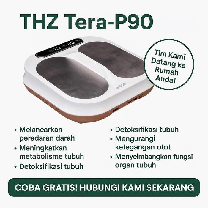 Jual OLYLIFE THZ Tera-P-90 Alat Terapi Tera P90 Resmi Olylife