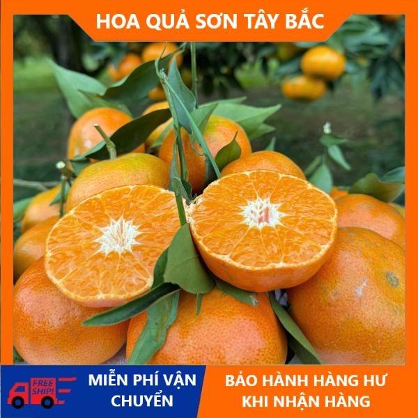  COMBO 4KG CAM ĐƯỜNG CANH HÀNG LOẠI 1 - CĂNG MỌNG NƯỚC - NGỌT- CỦA BÀ CON MỘC CHÂU SƠN LA  size quả 15-18  HOA QUẢ SƠN TÂY BẮC 
