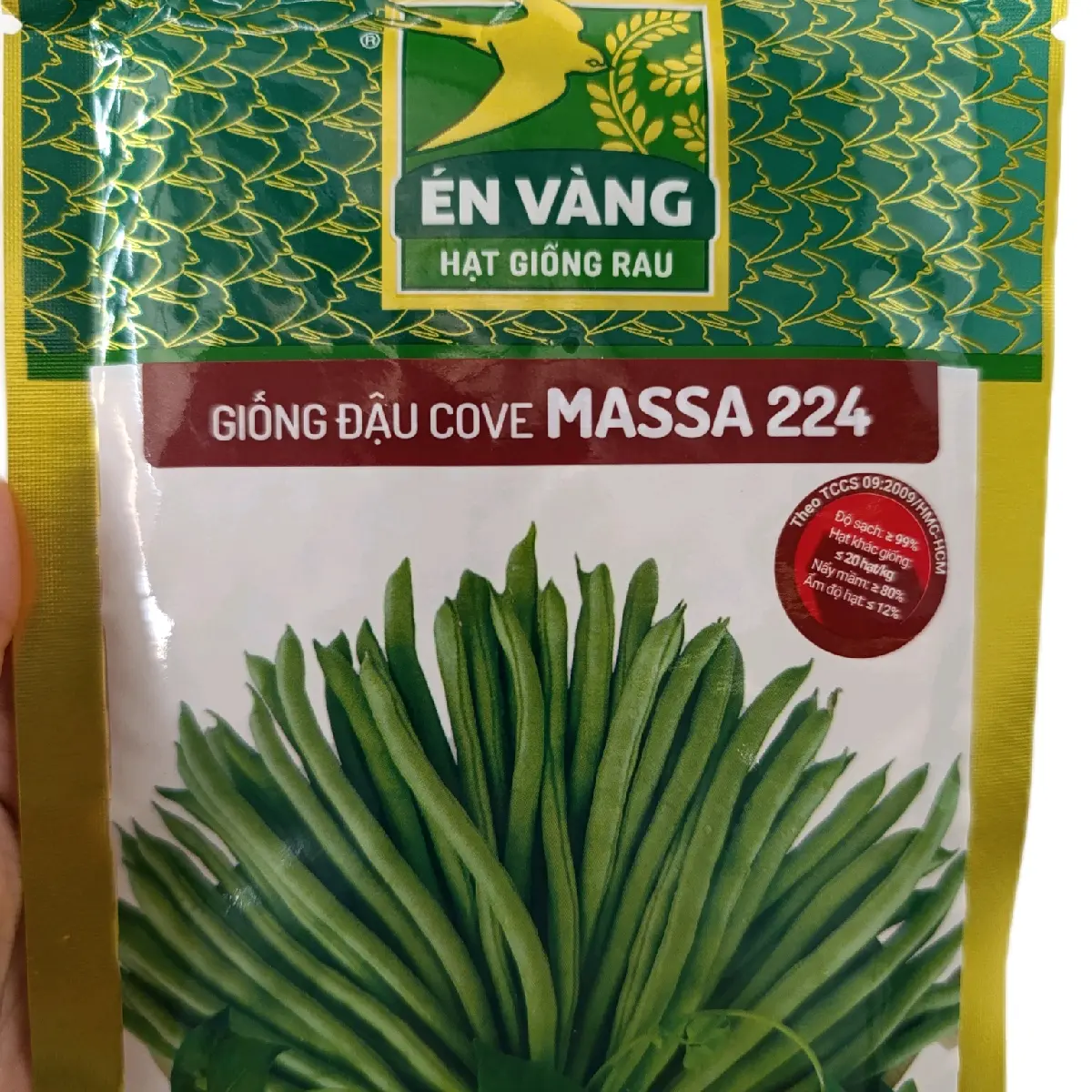 Giống Đậu Cove MASSA 224 của Én Vàng, cho năng suất cao