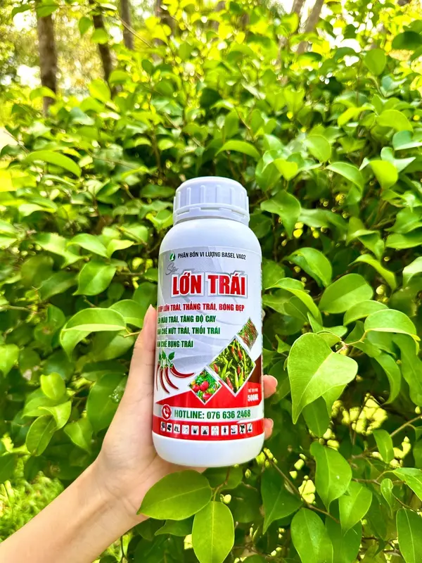Phân bón lá Siêu Lớn Trái cho ớt, rau màu 500ml -  Giúp trái lớn nhanh, dưỡng trái đẹp màu và nặng kí 2