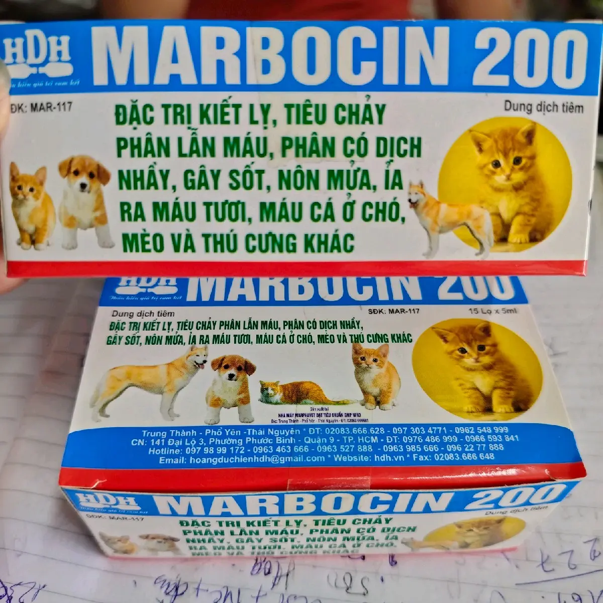 Dung Dịch Marbocin Cho Chó, Mèo Tiêu Chảy Phân Lẫn Máu, Kiết Lỵ, Nôn Mửa, Bỏ Ăn
