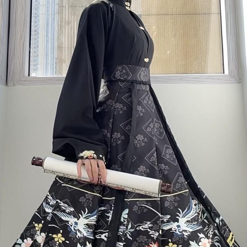 Chinese retro traditional clothing, Hanfu horse skirt, women's black long skirt Hanfu 4