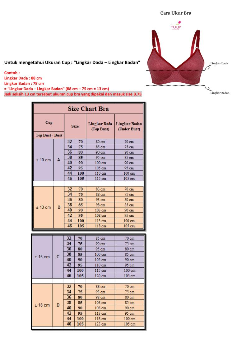 Product Introduction of Tulip by Christine Everyday Basic Bra - CBR-2106 0