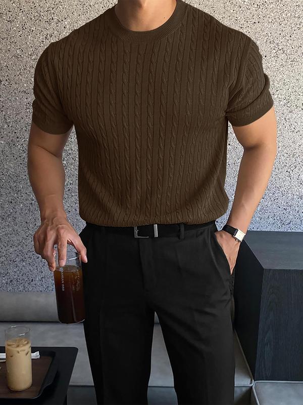 Men's Slim Textured Round Neck Cable Knit Top, Casual Short Sleeve Knitwear for Summer, Menswear for Daily Wear 5