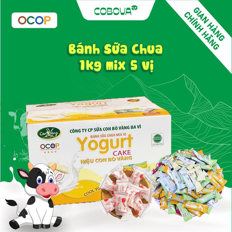 [1KG]  Bánh Sữa Chua Thơm Ngon  Mix 5 Vị Vani, hạt điều, phô mai, sữa dừa, sầu riêng - Đặc Sản Ba Vì thương hiệu COBOVA