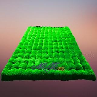 Kasur Jumbo Premium 200x180x18 cm Bonus Bantal 2 8