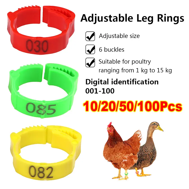 Cincin Kaki Ayam, Jalur Kaki Boleh Laras, Tag Kaki Ayam, Tersedia dalam 100 / 50 / 20 / 10Pcs, Sesuai untuk Gamefowl, Ayam, Itik, Angsa, Aksesori Ladang, Haiwan Ladang dan Bekalan Ayam