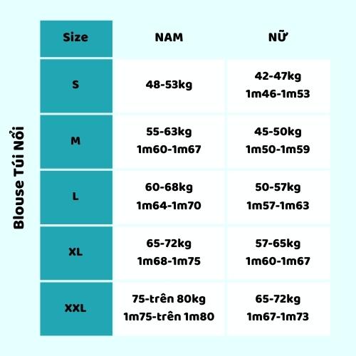 Product Introduction of Áo Blouse Nữ Tay Ngắn Thêu Tên Miễn Phí - Món Quà Valentine Ý Nghĩa Cho Bác Sĩ - Kèm Quà Tặng 0