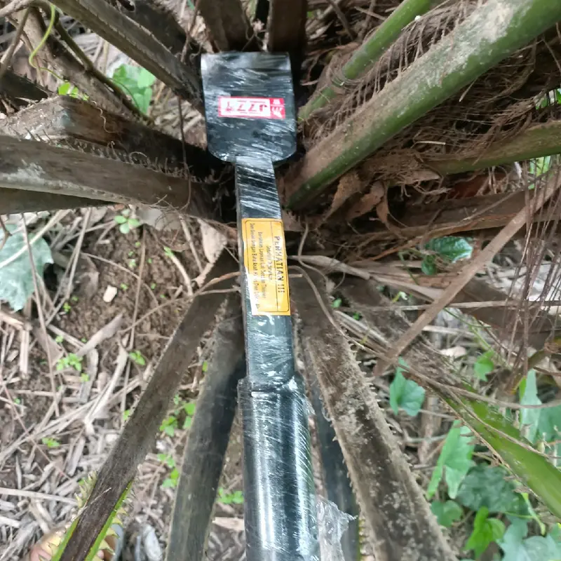dodos KASTRASI untuk sawit rendah 0