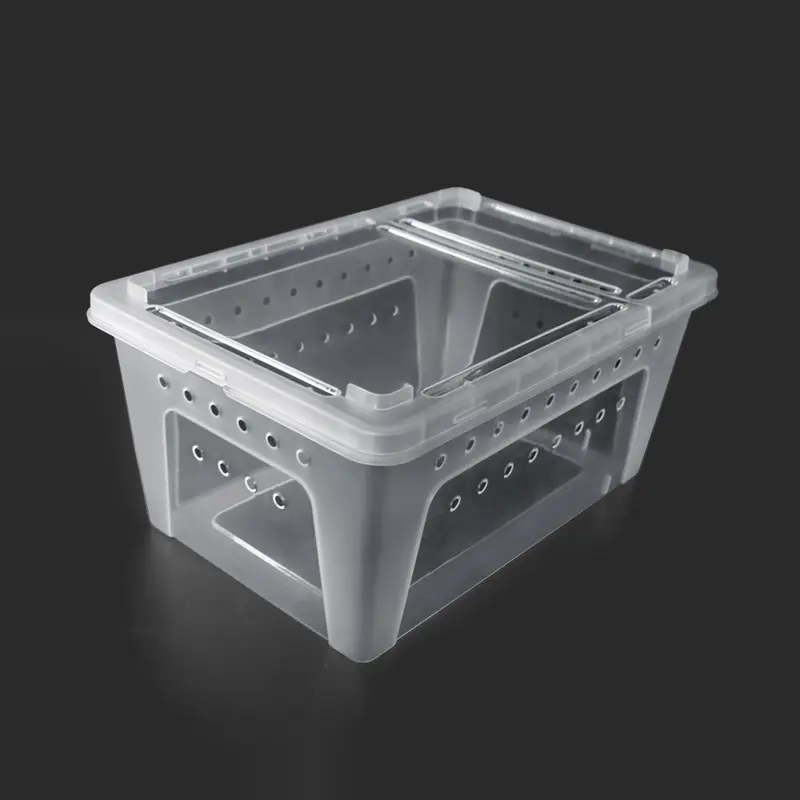 Amphibious reptile breeding box spider guard palace lizard lizard ...
