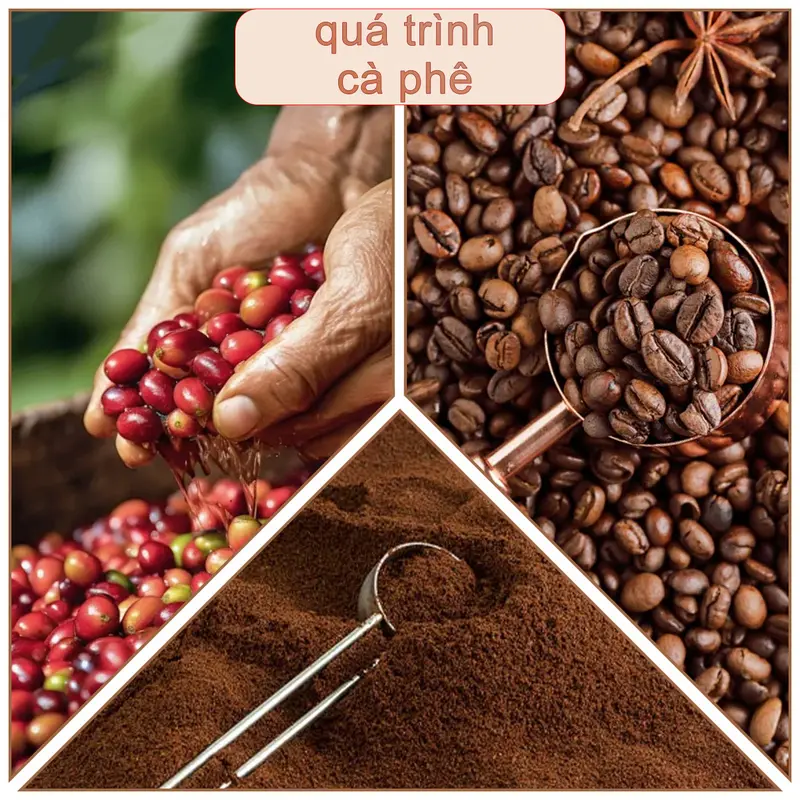 【COD】【 Mua 1 tặng 2,Có 3 Hộp】Cà Phê Hòa Tan 1 hộp 10 gói Đen Thuần Khiết Không Đường Có thể dùng nóng hoặc lạnh Cafe Coffee cà  phê 5