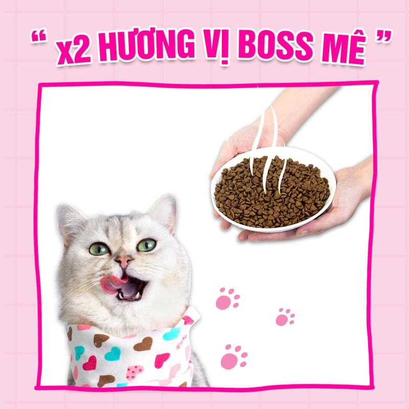 (1kg) Wonder Cats - Thức ăn hạt CHO MÈO MỌI LỨA TUỔI nhập khẩu Hàn Quốc 4