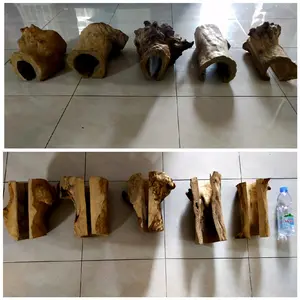 Hiding Cave Kayu Kopi Untuk Reptil Tarantula Sugar Glider Burung Parrot