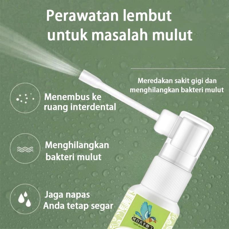 Obat Sakit Gigi Spray 20ml - Semprotan Herbal untuk Sakit Gigi & Gusi Bengkak - Pereda Nyeri Instan & Pembersih Gigi - Halal & Badan POM 3