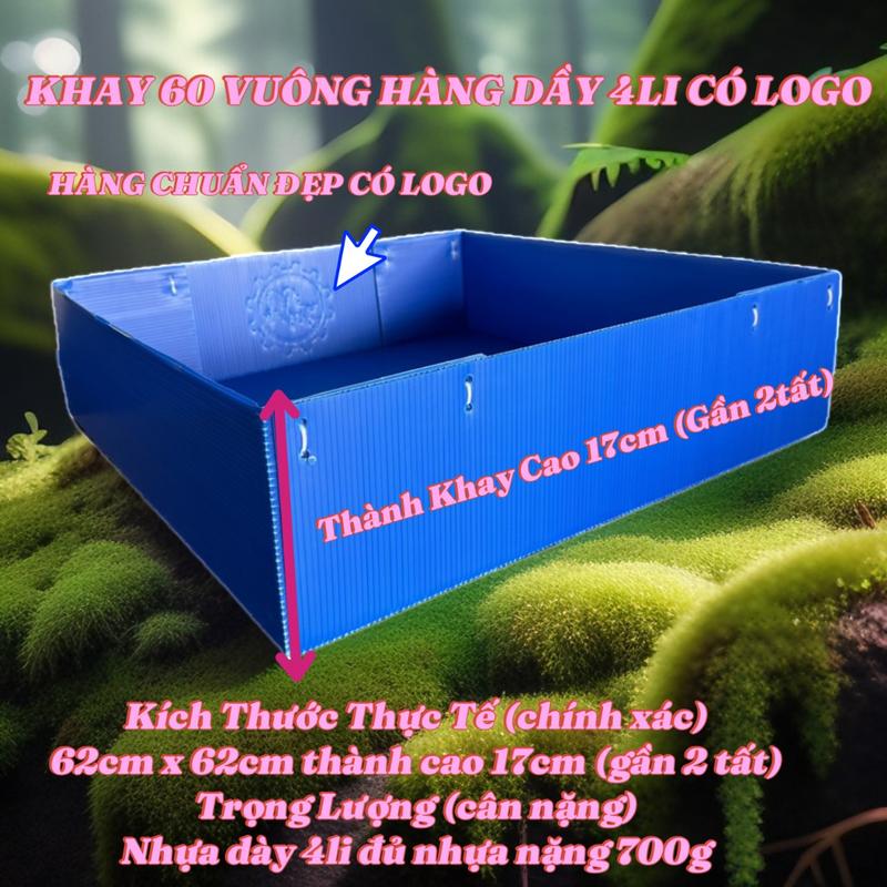 Khay nhựa 80V,60V, khay nhựa chuồng gà, khay nhựa lót lòng gà, khay nhựa đung phân gà ,khay nhựa cho gà,khay vuông