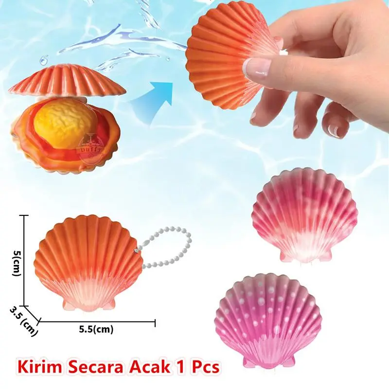 3890-Scallop-Acak