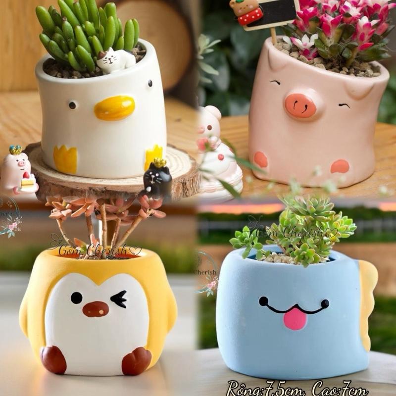 Chậu mini hình động vật trồng cây cảnh sen đá xương rồng