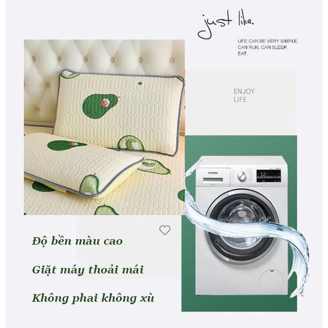 Product Introduction of Chiếu điều hoà cao su non latex 2D mẫu mới 2024. Chiếu điều hoà siêu mát tặng kèm 2 vỏ gối đầu cùng tông màu 2