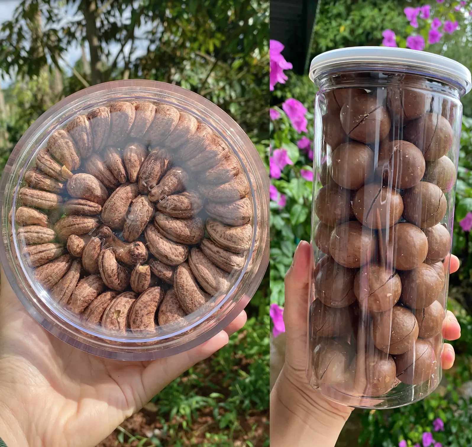 Combo Macca và Hạt Điều Rang Muối 1KG Snack Food Ăn Vặt Thức Ăn