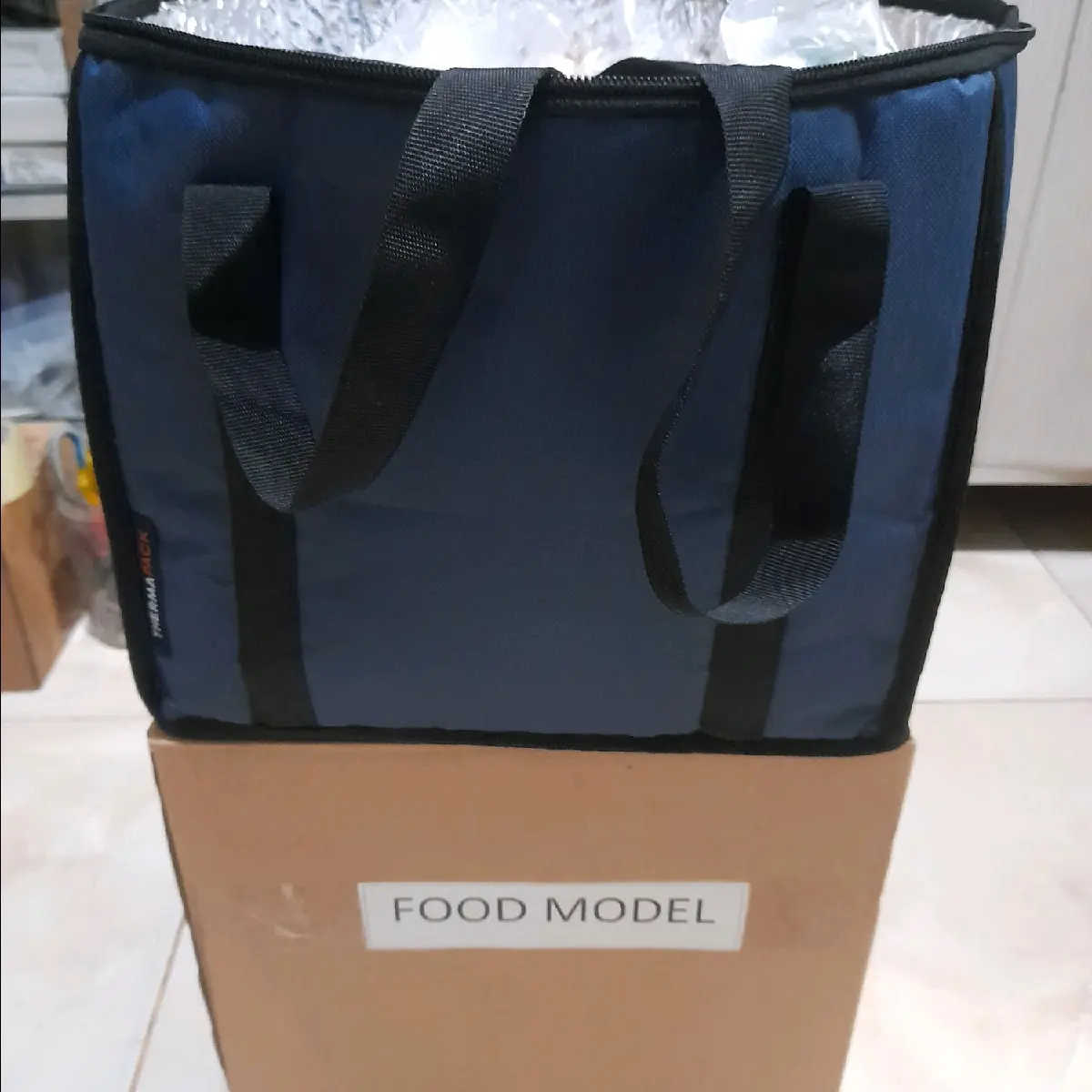 food model 4 sehat 5 sempurna + TAS promo