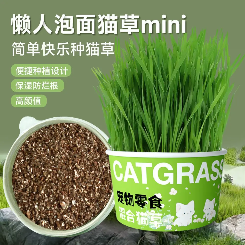 Lazy Cat Grass Canned Hydroponic Soilless Cultivation Hair Removal Ball Digestion Snack Instant Noodles Cat Grass Potted Pet Supplies Mini