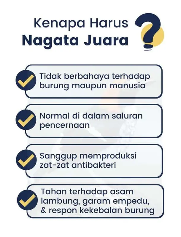 Nagata Juara Vitamin Burung Kicau 1 Botol Penggacor Burung Kicau Di Gantangan 2