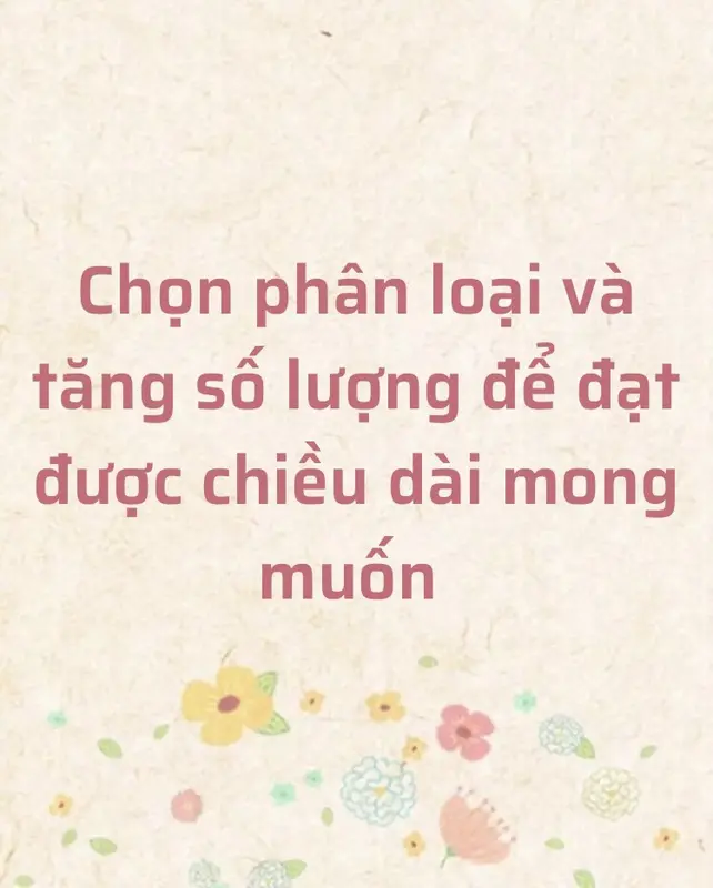LỤA TẰM CHUN HOẠ TIẾT BI TRẮNG NỀN ĐỎ HUYẾT-KHỔ 1.5M-VẢI NHÀ PHẠM 5