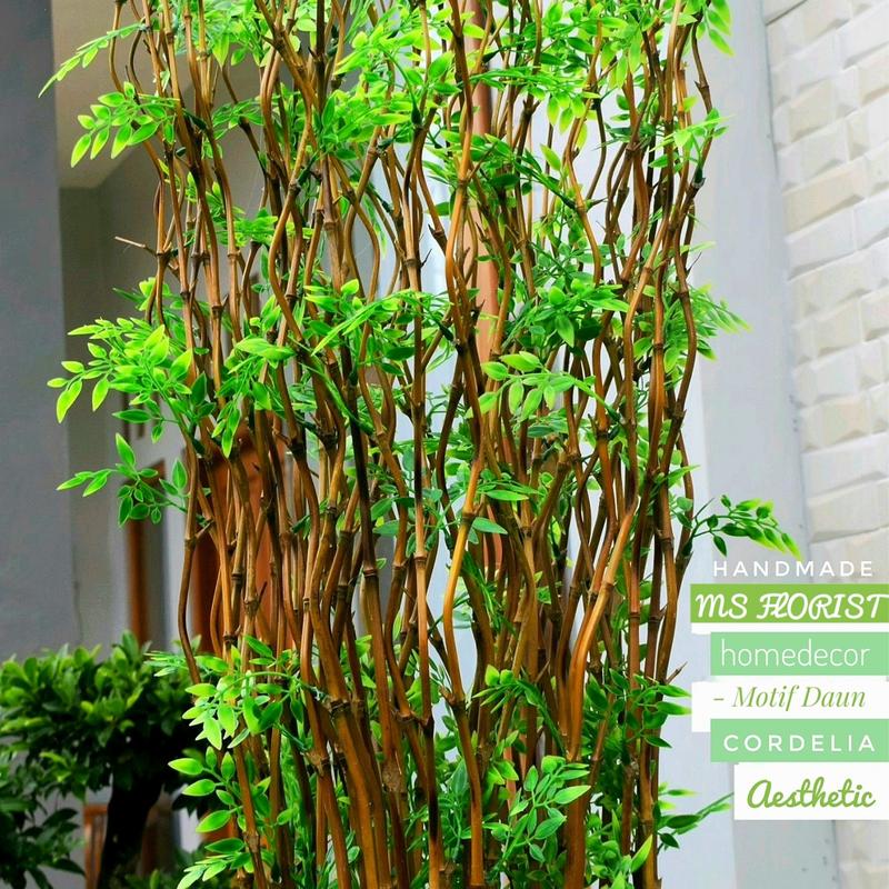 10 Btg Bambu Ulir Cendani Daun Cordelia 142 cm Tanpa Pot - Dekorasi Shabby Warna Natural 6