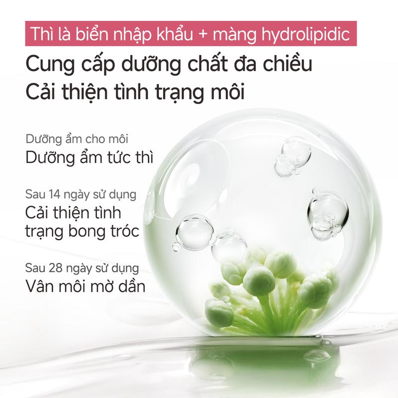 Son tint dưỡng ẩm CARSLAN làm sáng nếp nhăn trong 28 ngày trang điểm và chăm sóc da trong một 4.5g 2