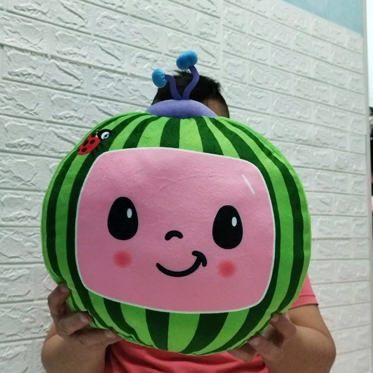 Bantal coco melon