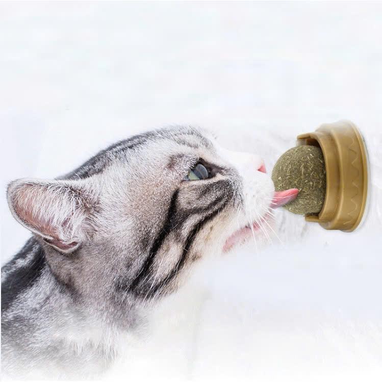 Bóng catnip Bạc Hà Đồ Chơi Cho Mèo Cưng Mài Răng , Làm Sạch Răng -Tiêu Búi Lông Cho Mèo
