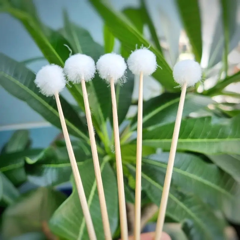Bông se tai lông vịt chuẩn không xù lông 0