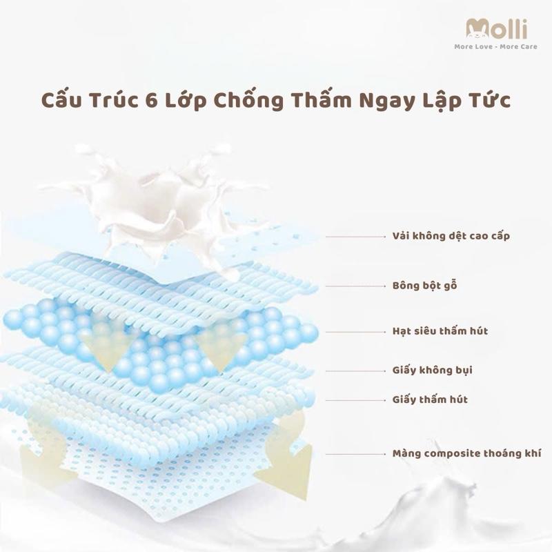 Product Introduction of Miếng lót thấm sữa cho mẹ sau sinh Molli 8